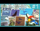【VOICEROID実況】マリオカートの世界にいる野鳥をコンプリートするぞ！　【マリオカートワールド】