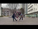 【ずみ×tone】キミペディア【踊ってみた】