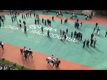 高松宮記念(G1)2026 パドック全頭現地