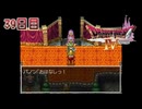 【実況】導かれたら勇者だった件【ドラゴンクエストⅣ】39日目