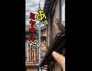 「あ！ミャウルだ！」「え？どっち？」