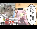 【コント】何も解説する気がない！基礎ハムスター学