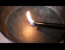 謎の緑の実