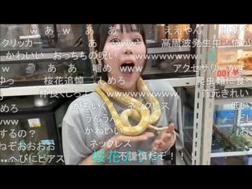 tako (2026/5/4) 苦手を克服して一皮剥ける外配信！爬虫類と触れ合う
