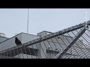 名脇役 / 重音テト