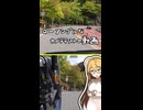 ローアングルなカメラテストの動画