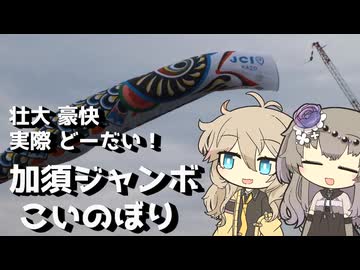 【VOICEVOX旅行】壮大 豪快 実際 どーだい！ ～加須ジャンボこいのぼり～【ラップっぽいなにか】