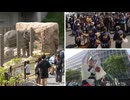 動植物園を無料で開放　名物「バナナのたたき売り」　どんたくパレード・・・みどりの日、福岡県内各地に賑わいと笑顔あふれる