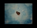 Young The Giant - Evergreen (Official Music Video)