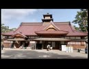 【散策動画】今年のお花見３回目【ニコ生アーカイブ】