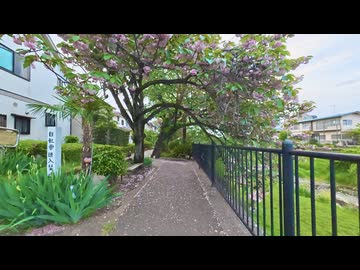 【散歩】東京都調布市深大寺元町-三鷹市大沢を歩く【仙川から府中方面へ次の用事まで歩く編 part4】