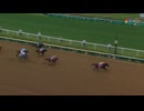 2026 Churchill Downs Stakes T O Elvis