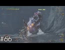 僕はコイツが苦手だということがわかりました【MHWilds】#66