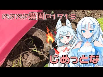 2026年5月4日　日記P1715　雨の後だから地面がどろどろなのが困る