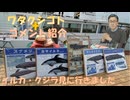 発達障害の疑いありと言われ息子は心配しています！専門医に行かせる傾向！日本は対露政策はNATO側につかざるを得ない立場！【アラ還・読書中毒】私事：イルカ・クジラ見に行きました（殘念ながら遭遇せず（涙）
