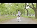 【たまりら】春泥棒 踊ってみた