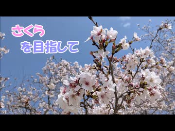 ｛初投稿｝お花見ツーリングIN忠元公園+α[VOICEVOX実況]