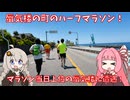 大会当日に蜃気楼に遭遇！魚津しんきろうマラソンを走ってみた【VOICEROIDラン】