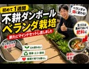 不耕ダンボール栽培初めて一週間　新たにマインドセットし直しました　生ゴミは集めておいて肥料に　いっしょに生き伸びましょう　#アーバンサバイバル  #タウンサバイバル