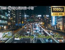 首都高 夜景 (用賀-C1都心環状線-小菅) The Metropolitan Expressway in Japan
