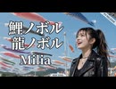 鯉ノボル 龍ノボル  Milia