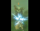 【ティアキン】カーマス台地のライネル ゼルダの伝説ティアーズオブザキングダム