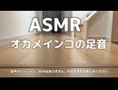 【オカメインコの作業用ASMR】モモヒキ隊4名による「廊下足音合戦」
