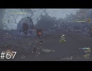 ヴェルナーさんの狩猟補助【MHWilds】#67