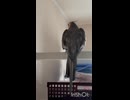 なぎに春はくる？
