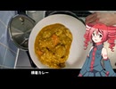 テトと横着カレー