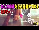 【少年声実況】ねこちゃんの肉球を至近距離で眺められるホラーアクション【Stray】#9