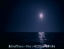 白群の鯱/ナースロボ_タイプT
