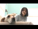 「盲導犬の受け入れ当たり前の社会に」飲食店への入店拒否問題に取り組む高校生　福岡