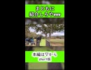 【キャンプ】なにも参考にならないキャンプギア紹介