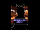 【ウマ娘】こんなんじゃ彼氏できねぇぞ！いい加減にしろ！