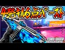 実質剣魚ｗSOKOL 545が覚醒しすぎている件ｗｗｗ【COD:BO7】
