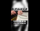定規で『SAN値直葬/STEAKA』弾いてみた【モノサシスト】