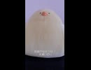 笑顔が似合う日 / 水瀬いのり (acapella cover)