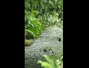 故郷が恋しくなったボカロ曲