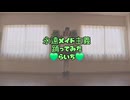 【らいち】永遠メイド主義【踊ってみた】【メイド服】【メイドの日】