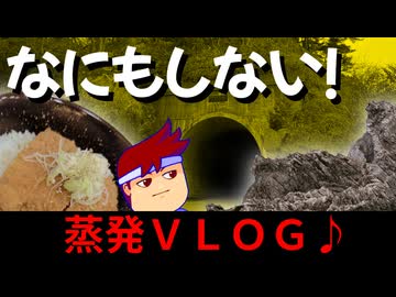 【宮古VLOG】宮古の魅力を大満喫！！見たこともないグルメに大感動の観光三昧な一日♪♪♪♪♪♪編。【バーチャルいいゲーマー】