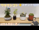 部屋に植物を置く（精神と健康に良い？）←私事【アラ還・読書中毒】コメ：イベル飲んでも毒性緩和は無いの思う！youtubeはAIフェイク動画も多数上がっており！発達障害の数が激増した！パンデミック起こる