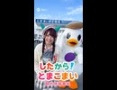 【観光情報番組】したから！とまこまい