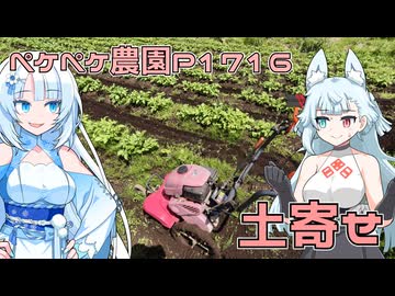2026年5月5日　日記P1716　じゃがいもの畑で土寄せをおこなったよ