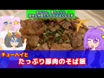 【VOICEROID・VOICEVOX】ゆかりん、雪ちゃんと愉快な仲間たちの、のほほんな日常　チューハイとたっぷり豚肉のそば飯