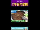 ぶどう栽培、２年目の悲劇