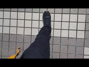 【告知動画】お散歩MVの素材を募集します！