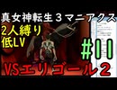【真女神転生３マニアクス】低レベル＆２人パーティ縛り #11 VSエリゴール（２回目）
