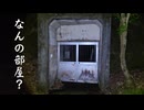 【心霊】謎の金属音が聴こえるダム【正木ダム】in徳島県〘怪の囀り〙