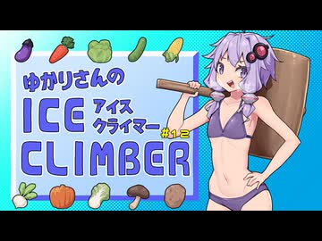 ゆかりさんのアイスクライマー #12